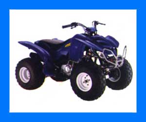 Madami quads